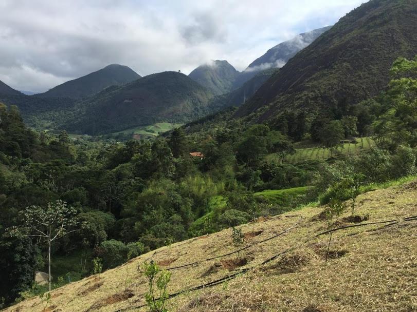 Pousada Quinta Das Nascentes Vila Petrópolis Exterior foto